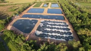 seafood processing wastewater lagoons